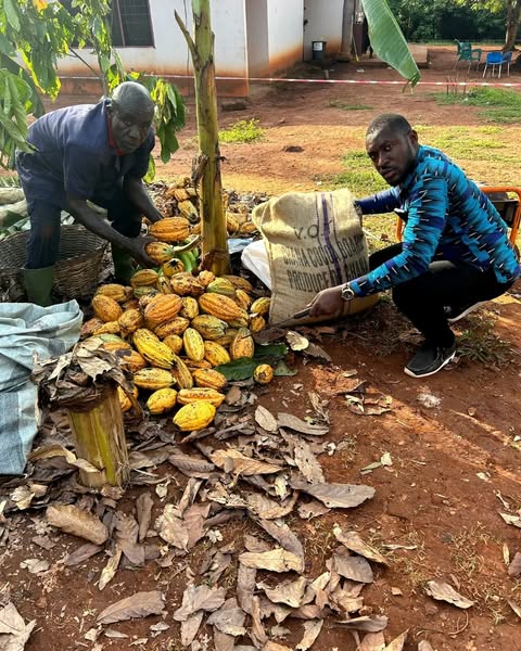 With a local cocoa farmer during outreach.