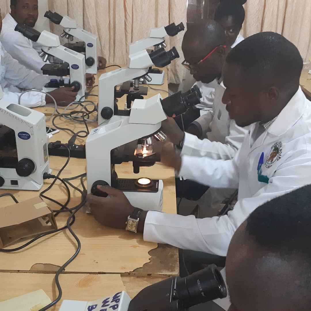 Reviewing TB diagnostic workflow with colleagues.