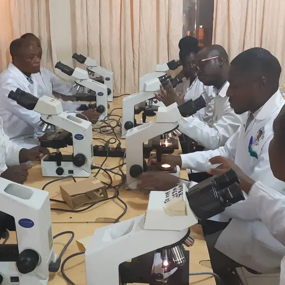 Valentine Golden Ghanem - National TB Control training session, Accra, 2020.