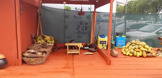 Valentine Golden Ghanem - Cocoa Clinic exhibition display, National Cocoa Day, 2018.