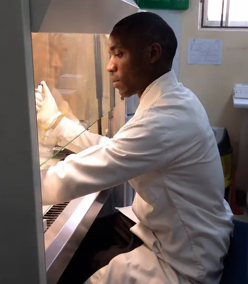 Valentine Golden Ghanem - At a biosafety cabinet, gloved hands, white lab coat.